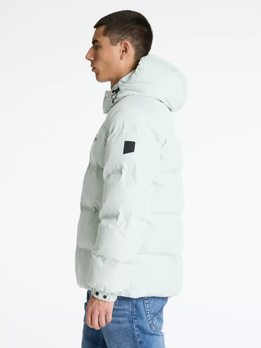 Chasin Chasin NEBULA Lichtgroen