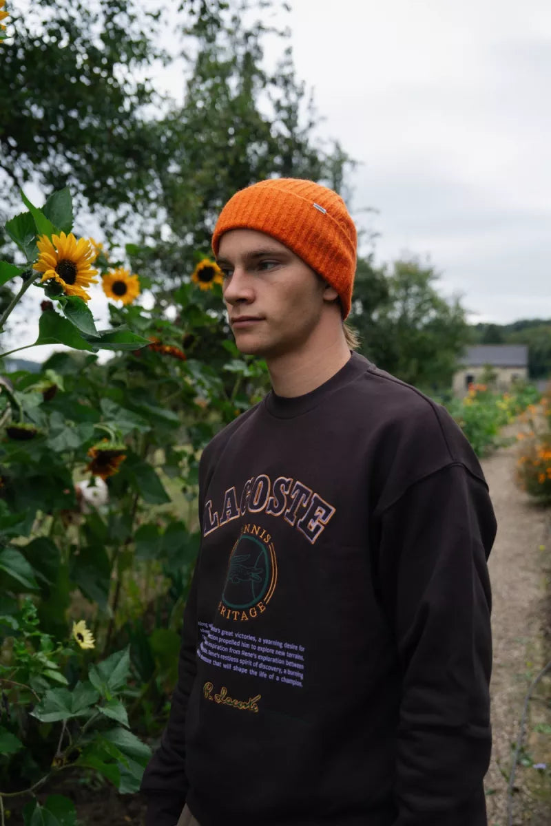 Lacoste Lacoste Sweatshirt Bruin