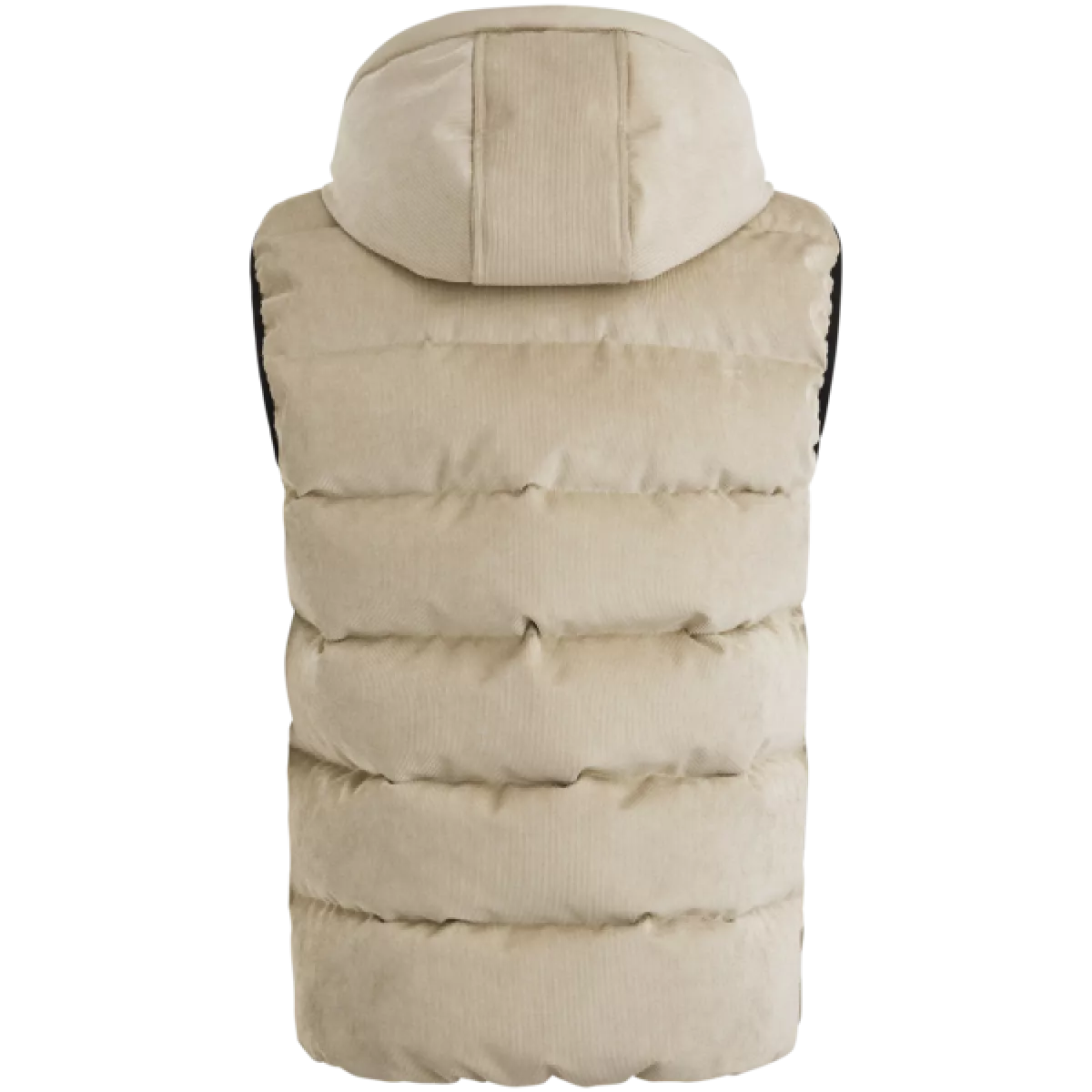 PME Legend PME Legend Bodywarmer GOBBLER BW Mix fabric Multicolor